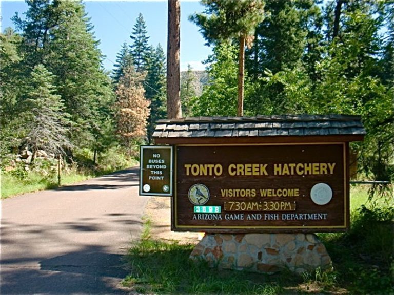 Tonto Creek Camp, at Payson AZ, site for our solar install outreach activity.